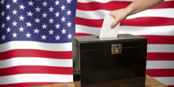 Vote in local elections for gun rights